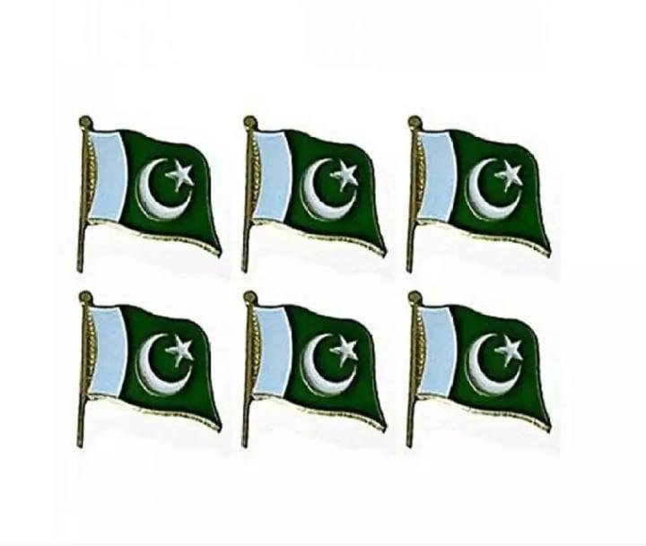 Pakistani Flag Set of 6 Metal 14th August Decor