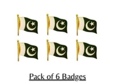 Pakistani Flag Metal Badges Set of 6 for 14th August