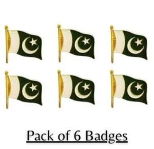 Pakistani Flag Set of 6 Metal 14th August Decor