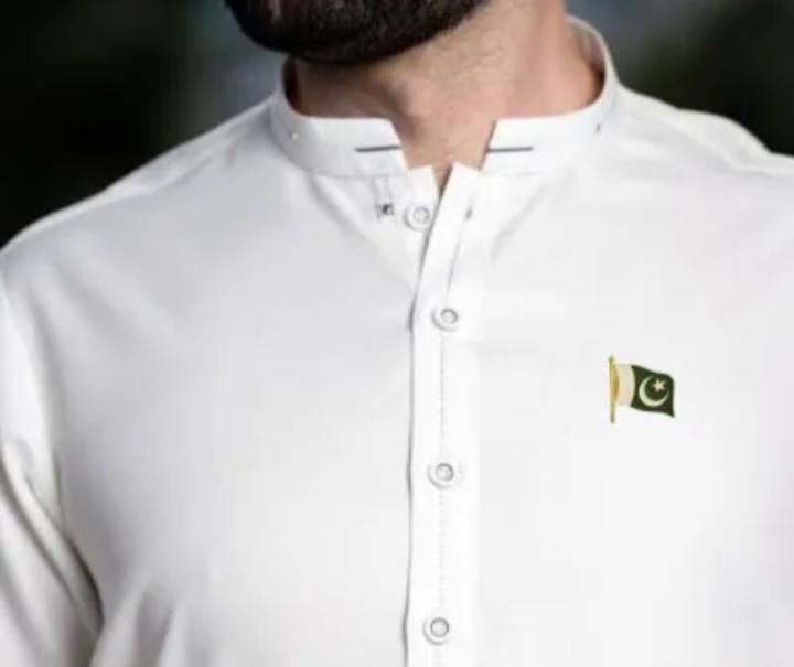 Pakistani Flag Set of 6 Metal 14th August Decor