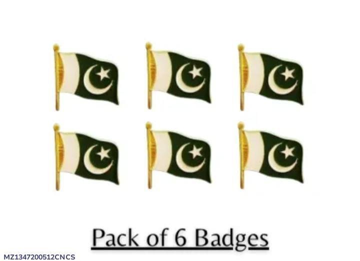 Pakistani Flag Set of 6 Metal 14th August Decor